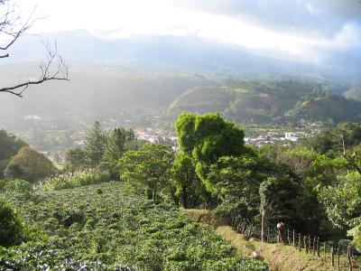 Boquete, Tal des Kaffees