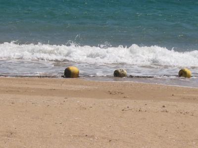 Strand der Isla Taboga